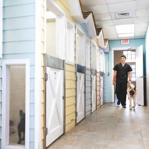 Pet Cottages Lakeland FL