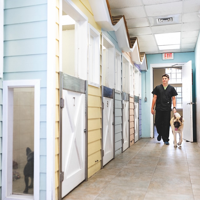 Pet Cottages Lakeland FL